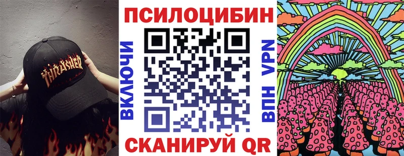 наркотики  Рубцовск  Псилоцибиновые грибы GOLDEN TEACHER 