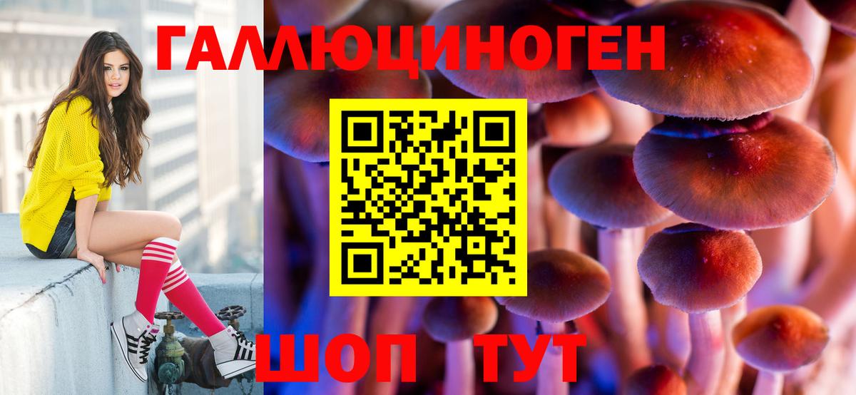 Псилоцибиновые грибы мицелий Рубцовск